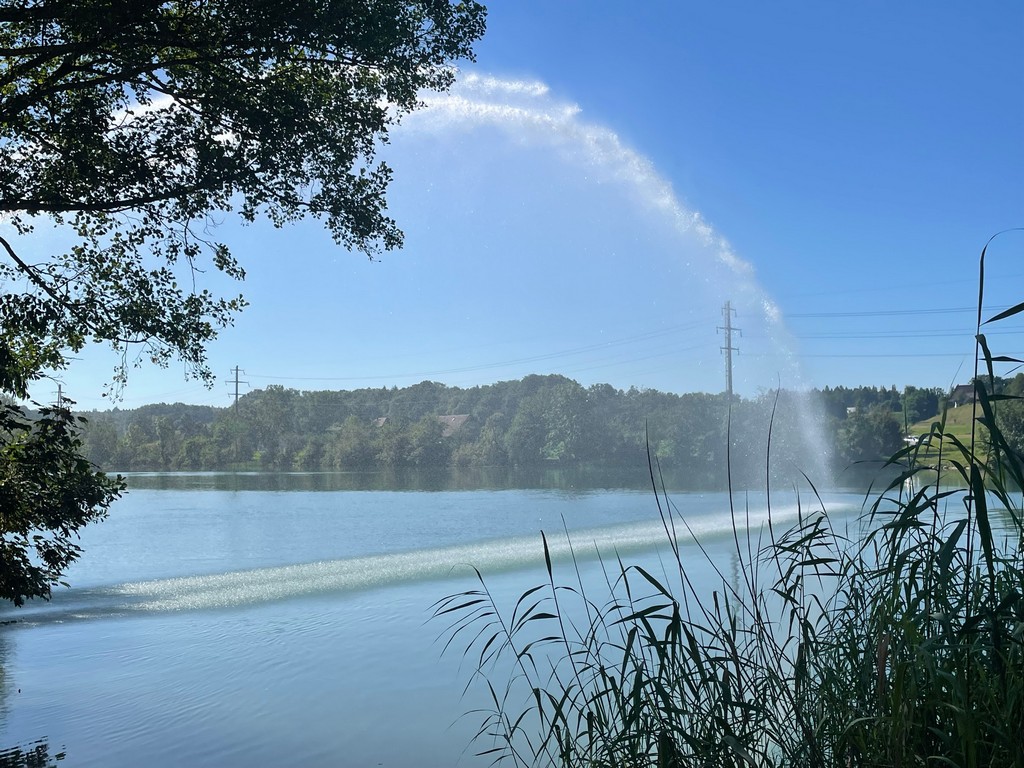 Berken_2024_30